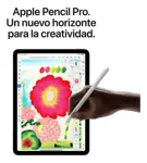 iPad Air 13 Apple Wi-fi + 4G 256GB Space Grey MCJ54LE-A