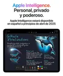 iPad Air 13 M3 Wifi 256gb - Gris Espacial