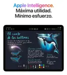 iPad Air 13 M4 Wifi 256 Gb Gris Espacial