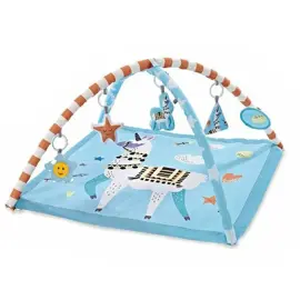 Gimnasio Actividades 5010  Llama Ce...