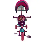 TRICICLO XG8803 MINNIE