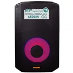 Parlante Profesional Moonki Sound MS-112DSP