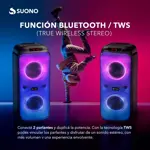 Parlante Torre Suono 2 Woofers 6.5