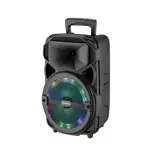 Parlante Portátil Bluetooth Tivoli 2500w Micrófono Radio FM
