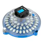 Incubadora de Huevos Gadnic 24 Huevos Temperatura Estable