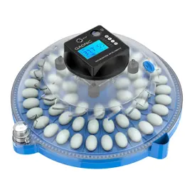 Incubadora De Huevos 24 Huevos Tem...