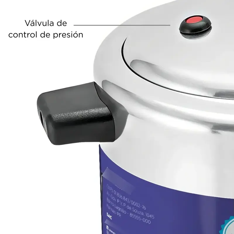 Olla De Presion 4.5 Lts Aluminio Pulido Panelux