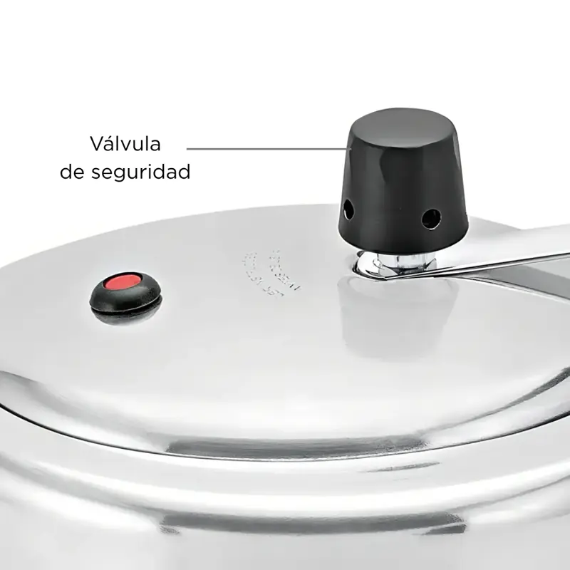 Olla De Presion 4.5 Lts Aluminio Pulido Panelux