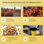 Aceite hidratante Batana 100% puro y natural para el crecimiento del cabello, 120 ml