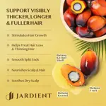 Aceite hidratante Batana 100% puro y natural para el crecimiento del cabello, 120 ml