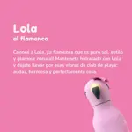 Botella Asobu Bestie 460Ml - Flamingo