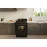 Cocina Palace C.Lx S2 51C 4 Hornallas Gas Natural  Ng. Escorial