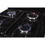 Cocina FLORENCIA 5517F Multigas Con 4 Hornallas Negro