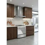 Cocina Domec F640 multigas, luz, encendido, acero inoxidable