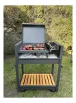 Parrilla Tromen Criolla Plancha Asadora Y Fogonero Enlozado