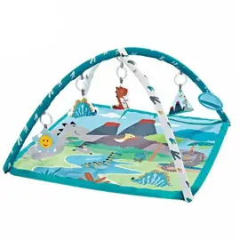 Gimnasio Actividades 5010  Din...