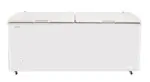 FREEZER IZONTAL 535L FREEZER 5000  HC A2 BRIKET