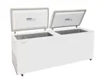 FREEZER IZONTAL 535L FREEZER 5000  HC A2 BRIKET