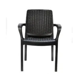 Sillón Plástico Con Apoya Brazos Gu...