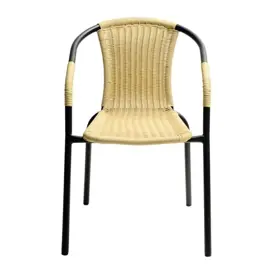 Silla Rattan Ratan Jardin Patio Ter...