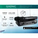 Micrófono Inalámbrico Gadnic M203 de Mano Ideal Karaoke Conferencias 2CH