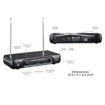 Micrófono Inalámbrico Gadnic M203 de Mano Ideal Karaoke Conferencias 2CH