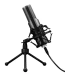 Microfono Trust GXT 242 Lance Streaming  - USB 