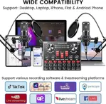 Paquete De Equipo De Podcast Para 2, Interfaz De Otros