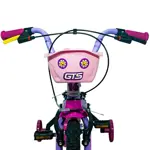 Bicicleta de paseo rodado 16 con cantimplora GTS rosa