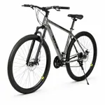 Bicicleta Mountain Bike GTS rodado 29 talle L 21V Shimano Grey