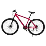 Bicicleta Mountain Bike GTS rodado 29 talle L 21V Shimano red