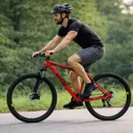 Bicicleta Mountain Bike GTS rodado 29 talle L 21V Shimano red