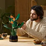 Lego Creator Expert 10289 Ave De Paraíso Para Construcción