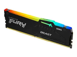 16G Ki 5600 Ddr5 Fury Beas Rgb