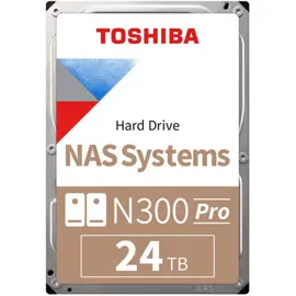 Disco Duro Hdd  N300 Pro 24Tb Nas S...