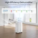 Deshumidificador Glowells PD20A 21 Pints Control