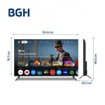 TV BGH 60