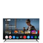 TV BGH 60