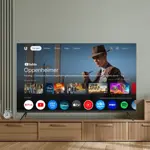TV BGH 60