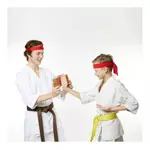 Karate Master Break The Board Game
