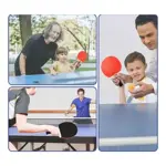 Raquetas De Ping Pong Paletas Y Pelotas