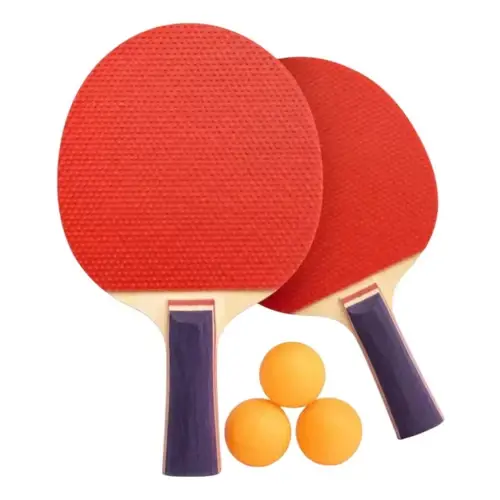 Raquetas De Ping Pong Paletas Y Pelotas