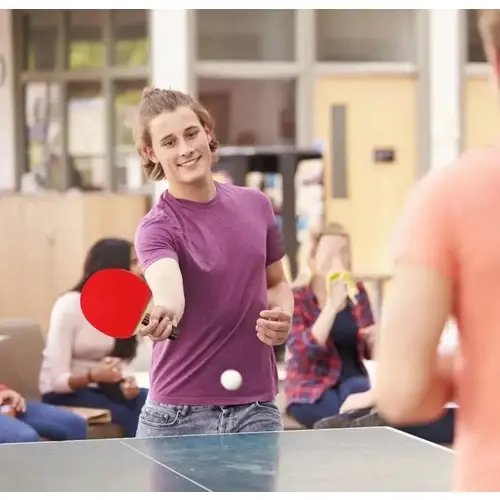 Raquetas De Ping Pong Paletas Y Pelotas