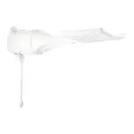 Ducha Electrica Lorenzetti Loren Shower Electronica 6800W C/Comando 26493/6