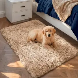 Alfombra 1X06 Mts Nórdica Living Be...