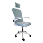 Silla de Escritorio SkyLight. Ergonomica Giratoria Soporte Lumbar . Apoya brazos y Cabeza
