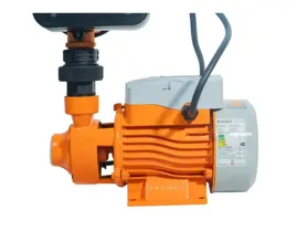 Bomba Periferica  Cpm150 0.5H ...