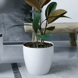 Maceta Redonda Ta Premium N°12