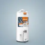 Termotanque a Gas Emege 80 lts TTQ80EM