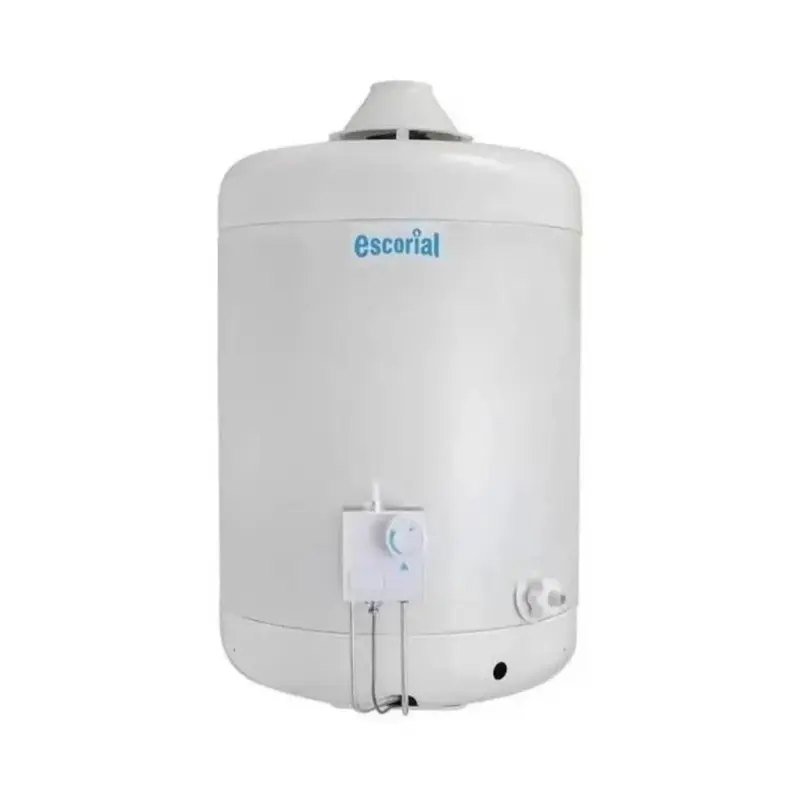 termotanque escorial 45 lts multigas carga superior color blanco